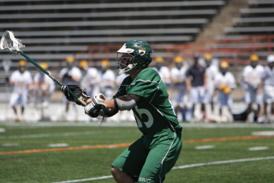 IMG_7897.jpg