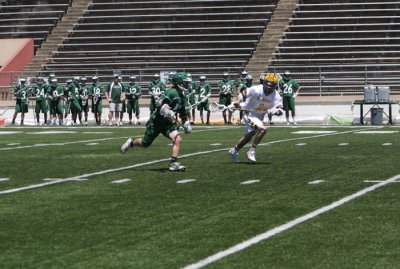 IMG_7928.jpg