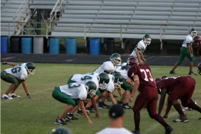 IMG_3987.jpg