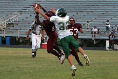 IMG_4066.jpg