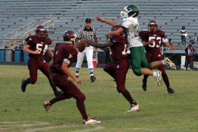 IMG_4067.jpg