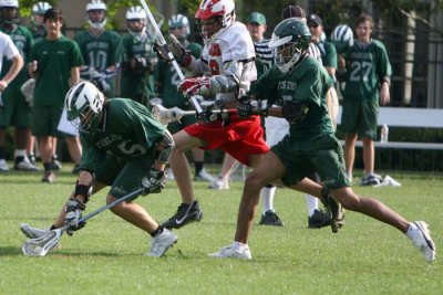 IMG_5992.jpg