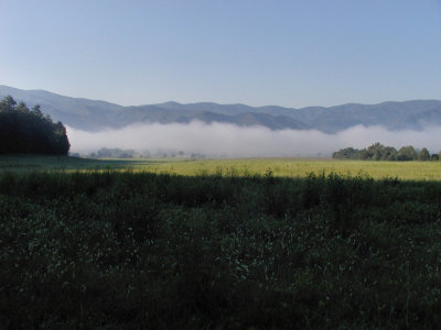 JPG CS 2Foggy Valley P8102991.jpg