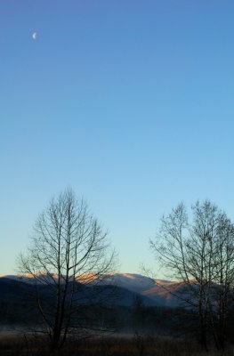 JPG CS Moon View DSC_0778.jpg
