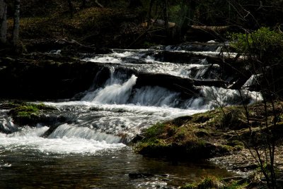 JPG CS Small Falls DSC_0979.jpg
