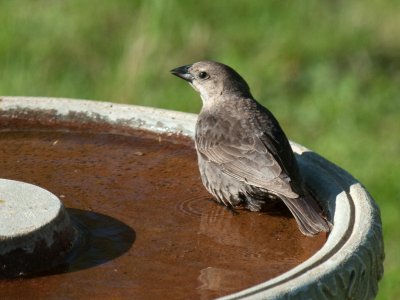 JPG CS 1 Bath-5628.jpg