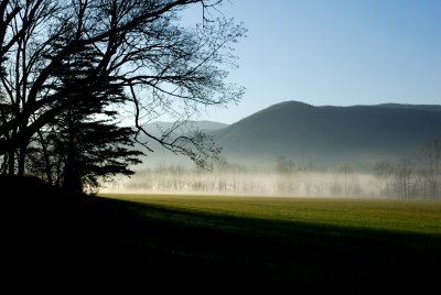 JPG CS Morning Meadow DSC_1238.jpg