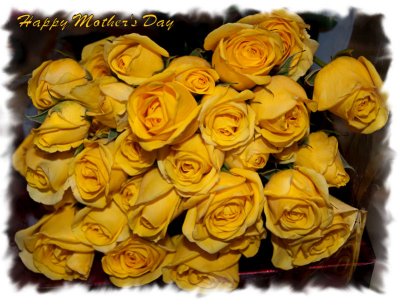 JPG CS Mothers Day Roses 2a -6483.jpg