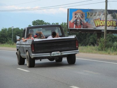 Pickup Picnic