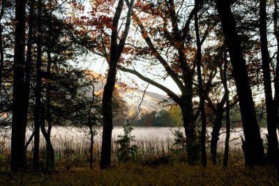JPG CS Morning A -2376.jpg