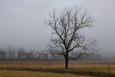 Alone