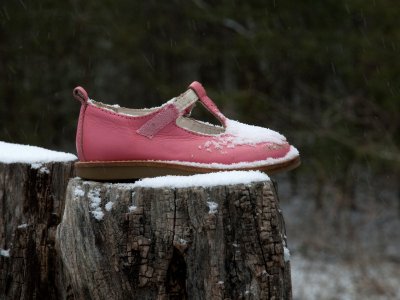 The Pink Shoe