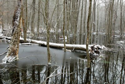  2 Winter At The Pond