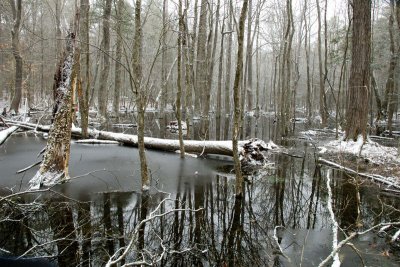  1 Winter At The Pond