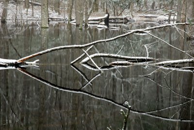 Snowy Symmetry