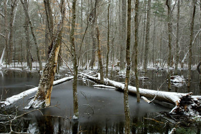  Ice &  Snow
