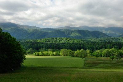 JPG CS Spring Fields DSC_3486.jpg