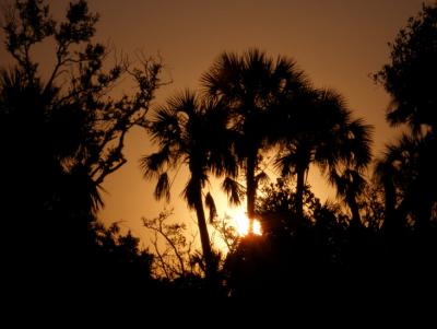 JPG CS 2Dawn PB220081.jpg