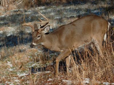JPG CS 5Buck DSC_0887.jpg