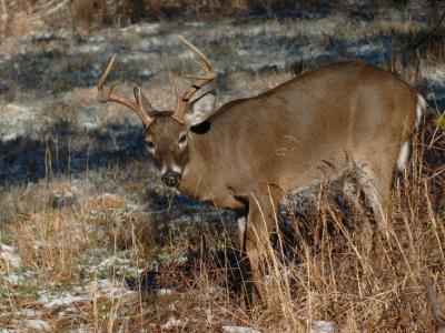JPG CS 6Buck DSC_0888.jpg