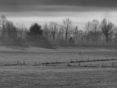 JPG CS BW FogFrostValley PC272100.jpg