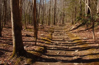 JPG CS 1TrailShadows DSC_1939.jpg