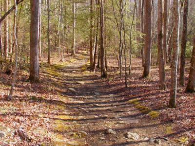 JPG CS 3TrailShadows P3042925.jpg