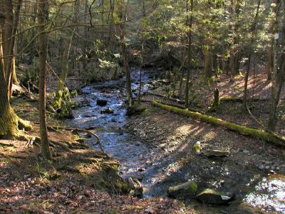 JPG CS Stream P3042878.jpg
