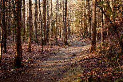 JPG CS MeanderingTrail DSC_1798.jpg