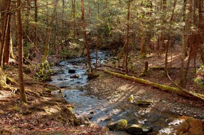 JPG CS 1Stream DSC_1904.jpg