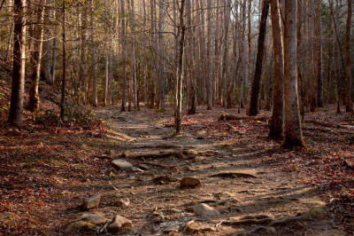 JPG CS Rocky Trail DSC_1796.jpg