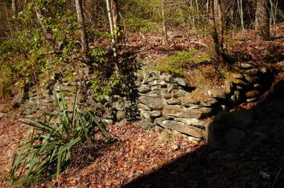 JPG CS 2Stone Wall DSC_1962.jpg