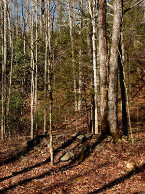JPG CS 4OldHomePlace DSC_1949.jpg