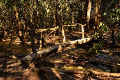 JPG CS 4FootLog DSC_1926.jpg