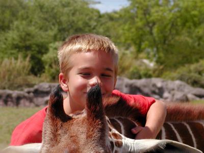 JPG CS 1ChanceGiraffe P4133203.jpg