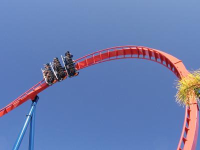 JPG CS 2Sheikra P4133114.jpg
