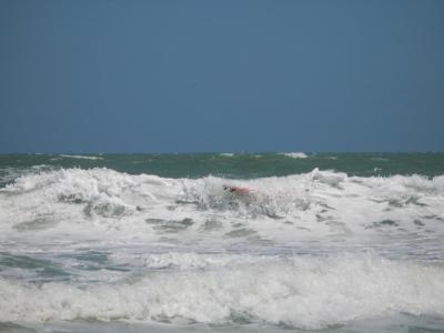 JPG CS 1PhantomSurfer P4100079.jpg