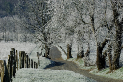 JPG CS 1Frosty Hyatt Lane DSC_3044.jpg