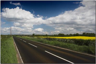 road.jpg