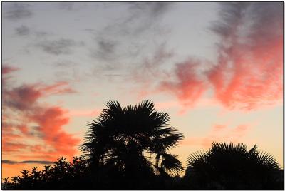 silhouettes c.jpg