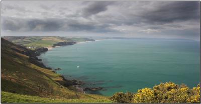 Devon coast.jpg