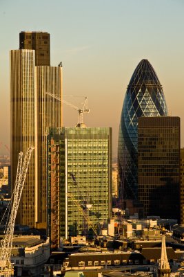 IMG_4820.jpg