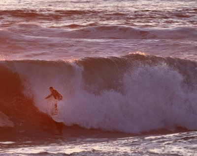 DSC_5597.jpg