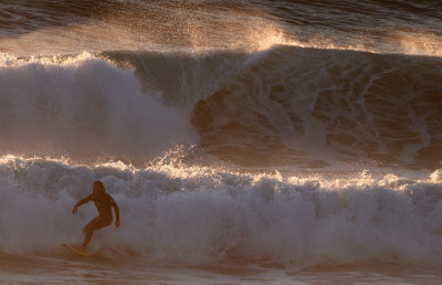 DSC_5441.jpg