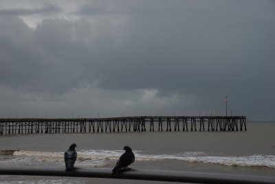 DSC_5651.jpg