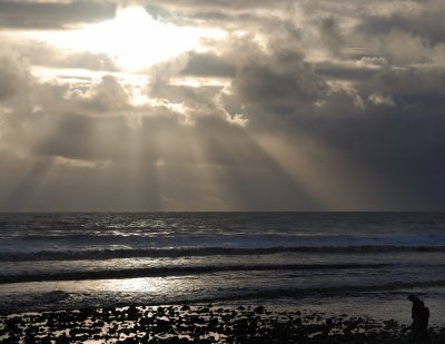 DSC_5693.jpg