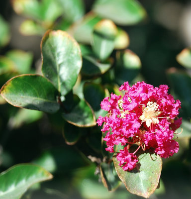 DSC_0049.jpg