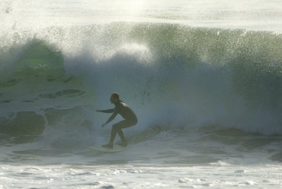 _DSC2229.jpg