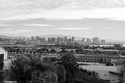 The View from Xenophon Street
