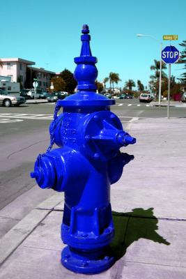 Even hydrants get blue every once in a while